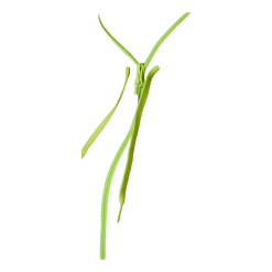 Babolat Padel Hood Jacket Grey -Takit Myyntikauppa 09449 10 004