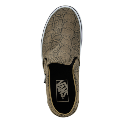 Vans Asher Patterned -Takit Myyntikauppa 192825712593 005 95d9b8f6dcab4d38a77b9aa8b4a66d46