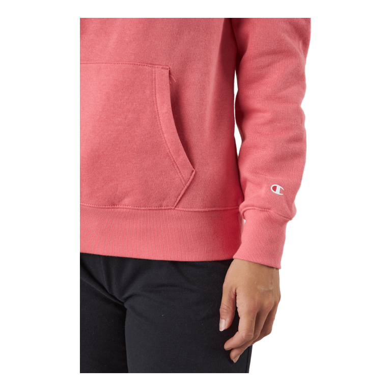 Champion Hooded Sweatshirt Ps171 7 Champion Hooded Sweatshirt Ps171 - Image 5